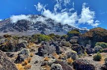The 6 Days Kilimanjaro Climbing Tour via Machame Route in 2025/26