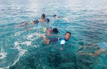 Snorkel Adventure at Cozumel! Transportation from Cancun & Playa Del Carmen