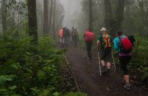 Mount Kilimanjaro 5-Day Trekking Marangu Route 