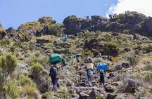 Mount Kilimanjaro 5-Day Trekking Marangu Route 
