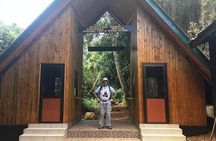 Mount Kilimanjaro: 6-Day Marangu Route Trekking Adventure 