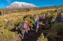 Mount Kilimanjaro: 6-Day Marangu Route Trekking Adventure 