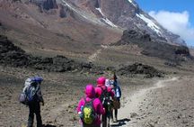 Mount Kilimanjaro: 6-Day Marangu Route Trekking Adventure 