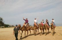 2-Day Private Tour to Zagora Desert from Marrakech