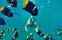 Private Stand Up Paddle Experience in Los Arcos Jalisco