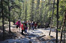 Cameron Falls Hiking Tour