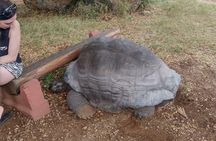 Haller Park Tour observing hippos, giraffes, birds, monkeys, crocs & others