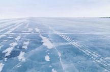 Yellowknife City Tour + Nature's North Wildlife Gallery