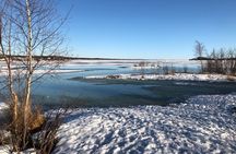Yellowknife City Tour + Nature's North Wildlife Gallery