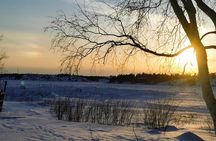 Yellowknife City Tour + Nature's North Wildlife Gallery