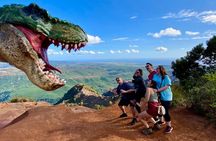 Waimea Canyon Downhill Bike Ride