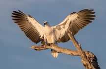 Corroboree Billabong Wetland Cruises - 2 hour Sunset Cruise