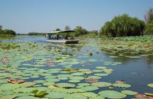 Corroboree Billabong Wetland Cruises - 2 hour Sunset Cruise