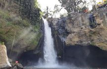 Bali Tour: Ubud Most Popular Place