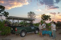 Game Drive (AM / PM) - Zambezi National Park - River Wild Safaris