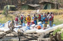 Canoeing Upper Zambezi 1 Day - River Wild Safaris