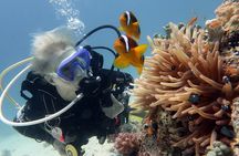 Maafushi: Discover Scuba Diving in Maldives (for Beginners)