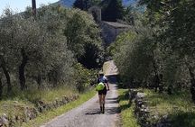 Kickbike Adventure through Florence with locals 