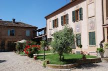 Private Wine Tour with The Whites of Langa Tasting