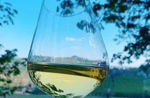 Private Wine Tour with The Whites of Langa Tasting