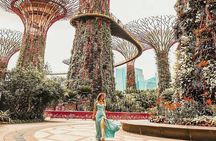 Singapore Instagram Tour By Car (Private & All-Inclusive)
