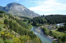 Coyhaique Tour Shore Excursion from P. Chacabuco, include lunch
