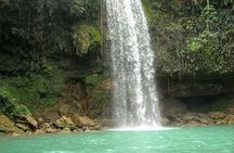 7 Hour- Private Nature Tour of the Monte Plata Rainforest