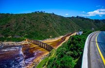 South Africa - 5 Day Garden Route & Addo Adventure & Accommadation 