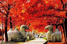 4-Hour Nanjing City Private Tailor-Made Tour in Your Way 