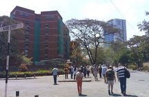 Nairobi City Walking Guided Half-Day Tour
