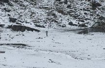 7 Days Annapurna Base Camp Trek from Pokhara