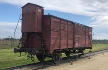 Auschwitz-Birkenau and Wieliczka Salt Mine Museum Guided Tour from Krakow