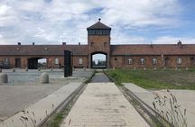Auschwitz-Birkenau and Wieliczka Salt Mine Museum Guided Tour from Krakow