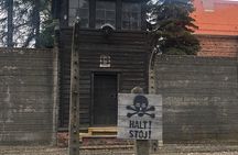 Auschwitz-Birkenau and Wieliczka Salt Mine Museum Guided Tour from Krakow
