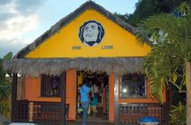 Dunns River Falls plus Bob Marley Nine Mile Private Tour 
