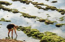 Private Photographic Walk in Biarritz