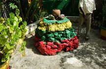 Dunns River Falls plus Bob Marley Nine Mile Private Tour 