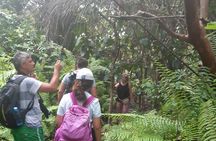 Jozani Forest & Spice Tour