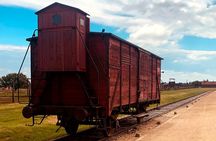 Auschwitz-Birkenau Guided Shared Tour from Krakow
