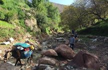 Toubkal ascent in two days, private trip