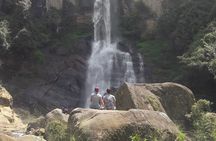  Nuwara Eliya Day Tour
