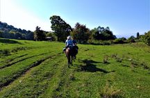 Horseback Riding in Armenia
