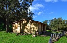 Madonie wild adventure