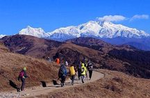 Sandakphu Over Night Trek