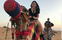 Evening Red Dunes Desert Safari With 20 Minutes Camel Ride