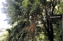 1066 Battle of Hastings, Birling Gap and Seven Sisters Tour