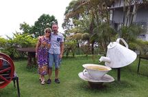 Mahe Private full day tour