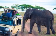 5 Days Lodge Safari.