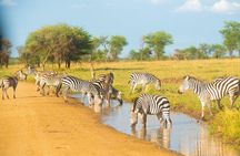 5 Days Lodge Safari.
