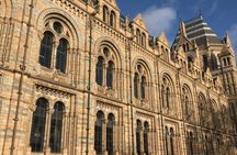 A Day at the Museum - Natural History Museum London